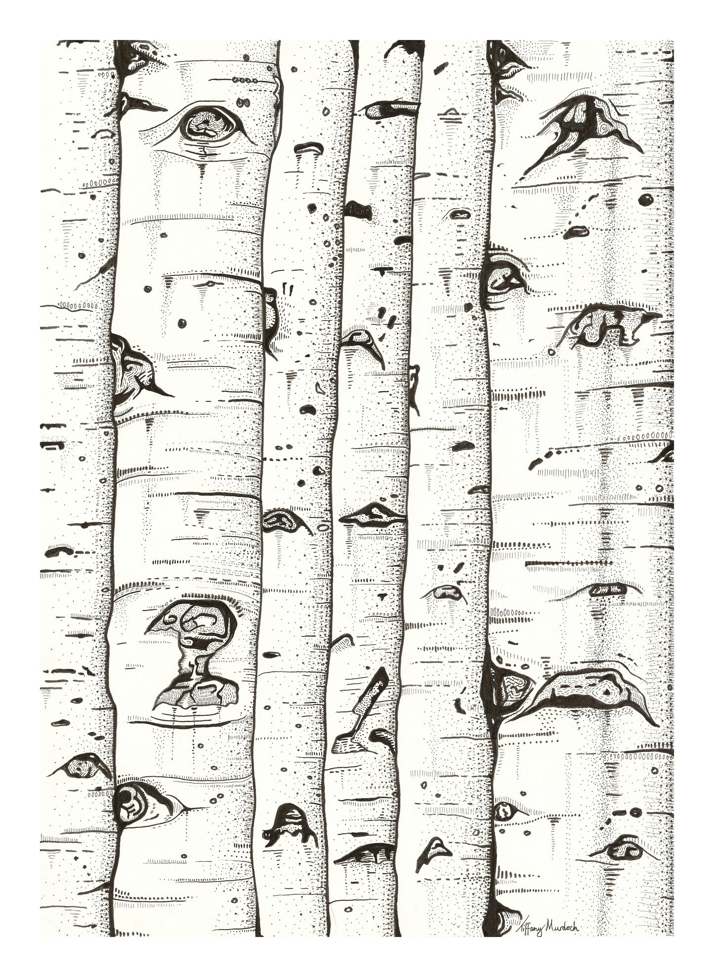 Silver birch print